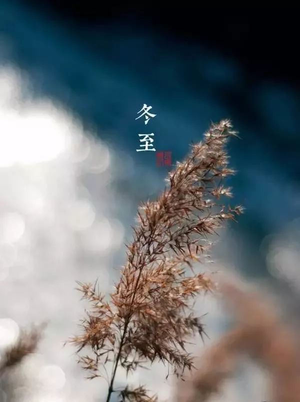 微信圖片_20221221115253