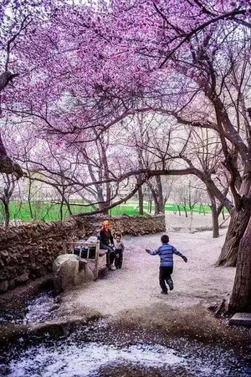 微信圖片_20230404101400